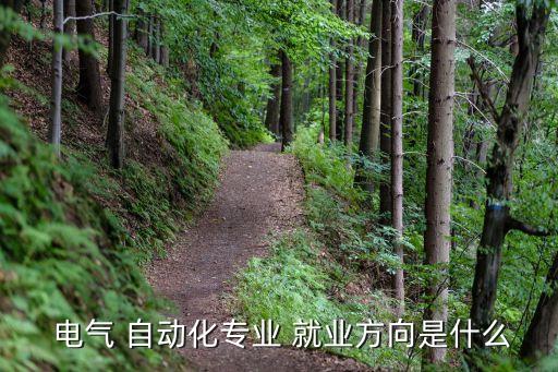 電氣 自動(dòng)化專(zhuān)業(yè) 就業(yè)方向是什么