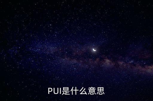 PUI是什么意思