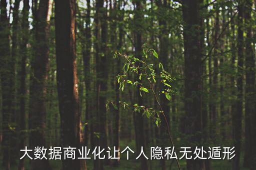 恐怖的大數(shù)據(jù)時(shí)代,大數(shù)據(jù)時(shí)代的應(yīng)急管理變革