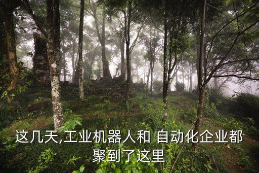 這幾天,工業(yè)機器人和 自動化企業(yè)都聚到了這里