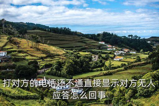打?qū)Ψ降碾娫掃€不通直接顯示對(duì)方無人應(yīng)答怎么回事