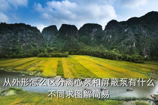 從外形怎么區(qū)分離心泵和屏蔽泵有什么不同求圖解簡(jiǎn)易