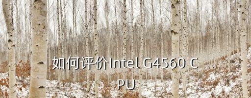 如何評價Intel G4560 CPU