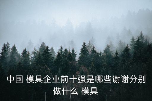 自動(dòng)化支撐模具有哪些公司