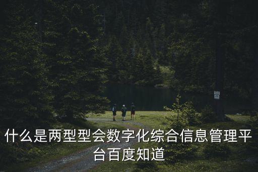 什么是兩型型會數(shù)字化綜合信息管理平臺百度知道