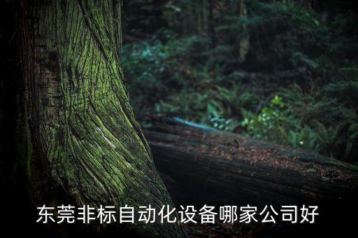 東莞順誠自動化有限公司,東莞有哪家公司做非標自動化設備?