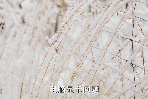 電腦顯卡問題