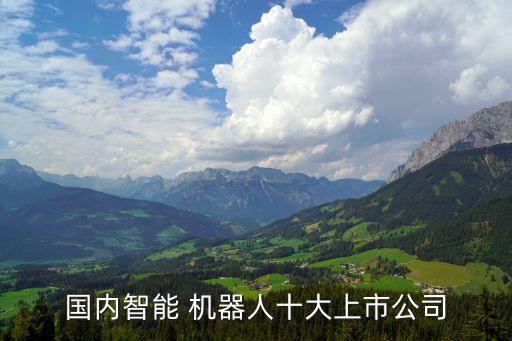 國內(nèi)智能 機器人十大上市公司