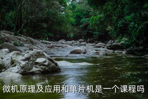 微機(jī)原理及應(yīng)用，微機(jī)原理及應(yīng)用和單片機(jī)是一個(gè)課程嗎