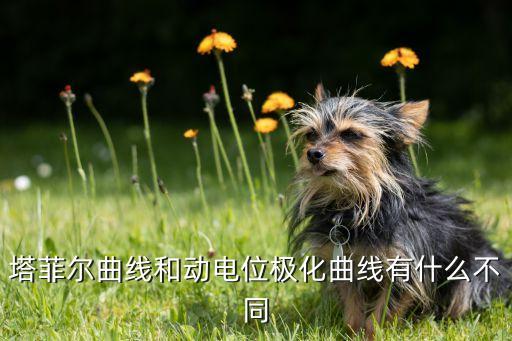 塔菲爾曲線和動電位極化曲線有什么不同