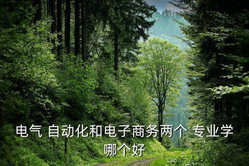 電氣 自動(dòng)化和電子商務(wù)兩個(gè) 專(zhuān)業(yè)學(xué)哪個(gè)好