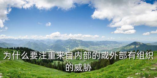 外部威脅,數(shù)碼網(wǎng)店的外部威脅有哪些?