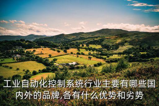 工業(yè)自動化控制系統(tǒng)行業(yè)主要有哪些國內外的品牌,各有什么優(yōu)勢和劣勢
