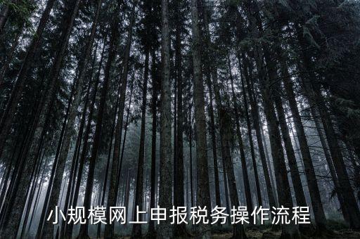 小規(guī)模網(wǎng)上申報稅務操作流程