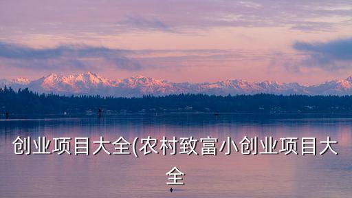 創(chuàng)業(yè)項(xiàng)目大全(農(nóng)村致富小創(chuàng)業(yè)項(xiàng)目大全