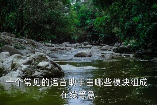 一個(gè)常見的語(yǔ)音助手由哪些模塊組成 在線等急
