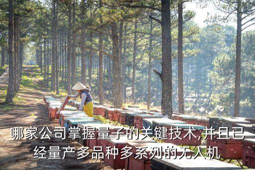 哪家公司掌握量子的關(guān)鍵技術(shù),并且已經(jīng)量產(chǎn)多品種多系列的無(wú)人機(jī)