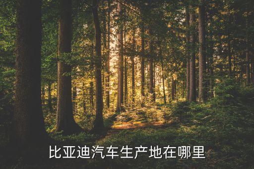 比亞迪廠址在哪里，比亞迪汽車總公司廠址在哪