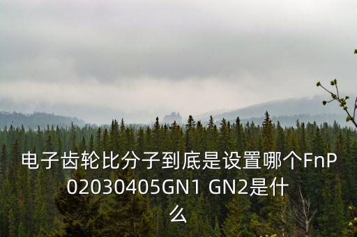 gn1，相機(jī)傳感器三星gn1和hm1的面積有多大