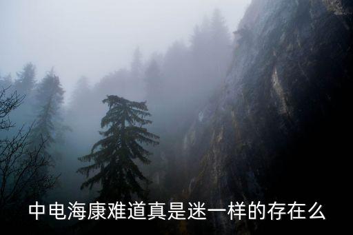 中電?？?，天網(wǎng)桿子上中電海康白色盒子是干什么