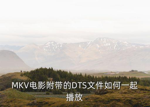 MKV電影附帶的DTS文件如何一起播放