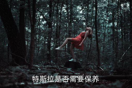 特斯拉是否需要保養(yǎng)