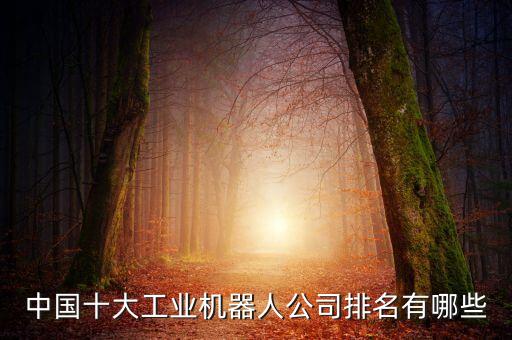 中國十大工業(yè)機器人公司排名有哪些
