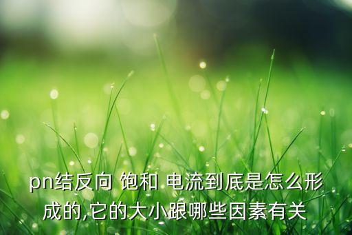 飽和電流,反向飽和電流