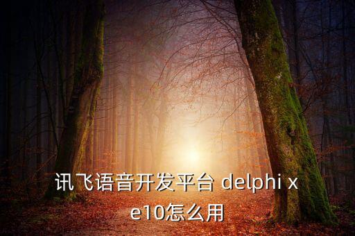 訊飛開放平臺(tái)，訊飛語音開發(fā)平臺(tái) delphi xe10怎么用