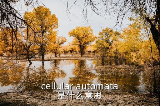元胞自動(dòng)機(jī)，cellular automata是什么意思