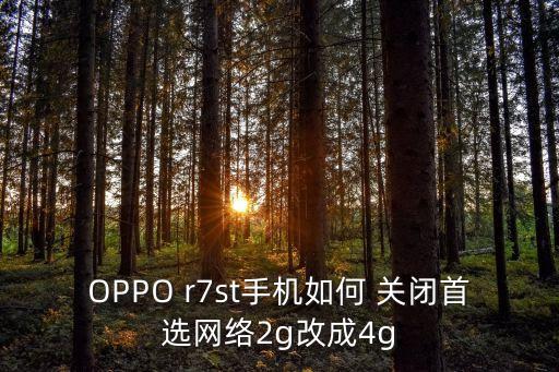 OPPO r7st手機如何 關(guān)閉首選網(wǎng)絡(luò)2g改成4g