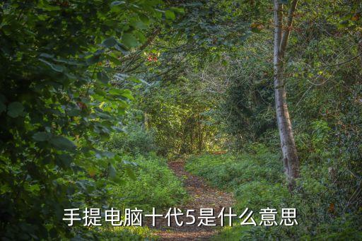 手提電腦十代5是什么意思