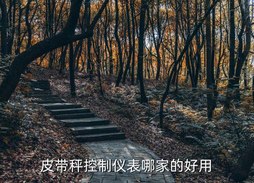 皮帶秤控制儀表哪家的好用