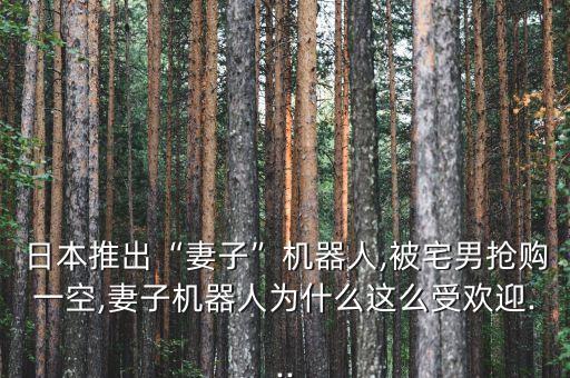 女用男機(jī)器人,日本研究出女機(jī)器人遭瘋搶最后碎裂而亡
