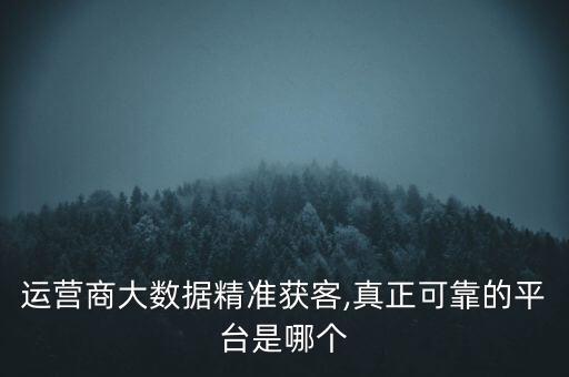 運營商大數(shù)據(jù)精準獲客,真正可靠的平臺是哪個
