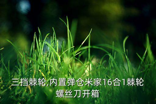 三擋棘輪,內(nèi)置彈倉米家16合1棘輪螺絲刀開箱