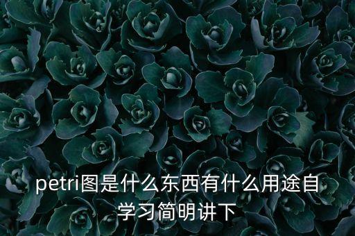 petri圖是什么東西有什么用途自學習簡明講下