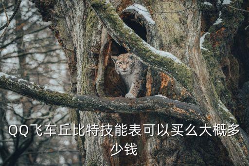 QQ飛車丘比特技能表可以買么大概多少錢