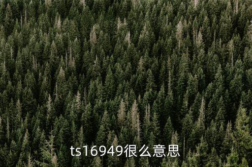 ts16949很么意思