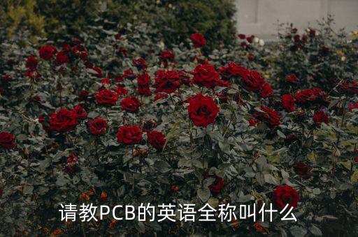 請(qǐng)教PCB的英語全稱叫什么