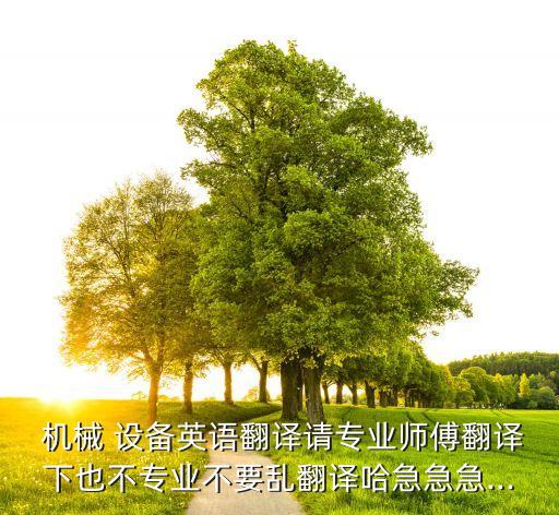  機械 設(shè)備英語翻譯請專業(yè)師傅翻譯下也不專業(yè)不要亂翻譯哈急急急...