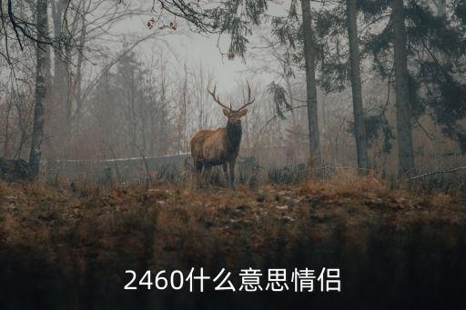 2460，2460什么意思情侶