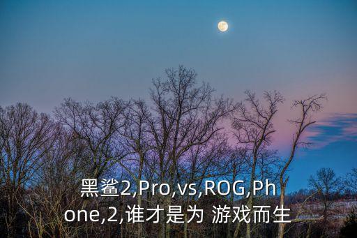 黑鯊2,Pro,vs,ROG,Phone,2,誰(shuí)才是為 游戲而生