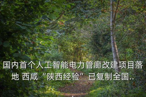 國(guó)內(nèi)首個(gè)人工智能電力管廊改建項(xiàng)目落地 西咸“陜西經(jīng)驗(yàn)”已復(fù)制全國(guó)...
