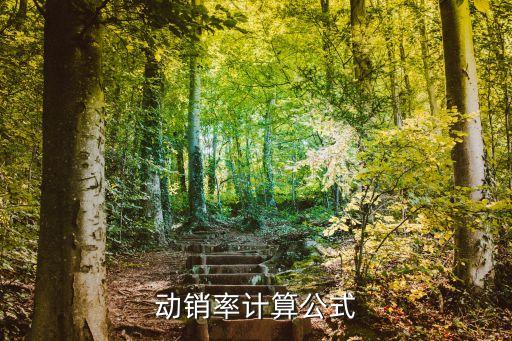 動(dòng)銷(xiāo)率計(jì)算公式