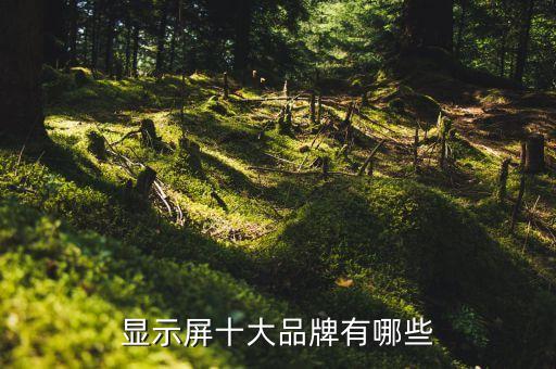 led屏十大品牌，顯示屏十大品牌有哪些