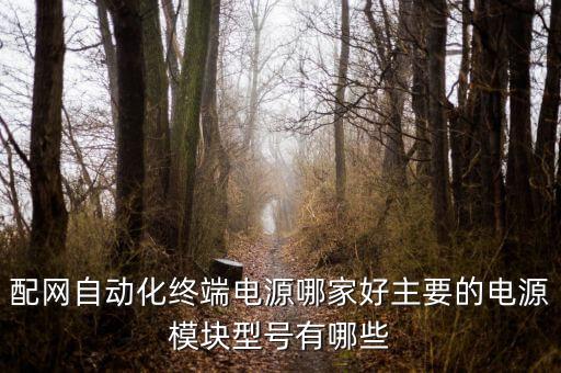 配網(wǎng)自動化終端電源哪家好主要的電源模塊型號有哪些