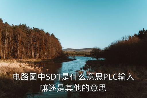sd1，豌豆莢里sd1sd2卡是什么意思第一個(gè)是手機(jī)內(nèi)存么顯示還有兩個(gè)