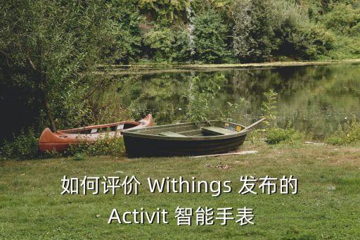 如何評(píng)價(jià) Withings 發(fā)布的 Activit 智能手表