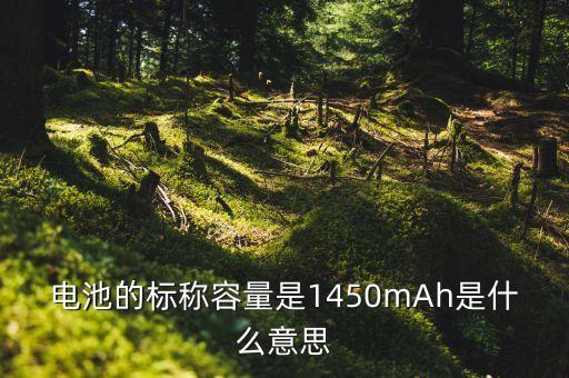 標稱容量，電容標稱容量的含義